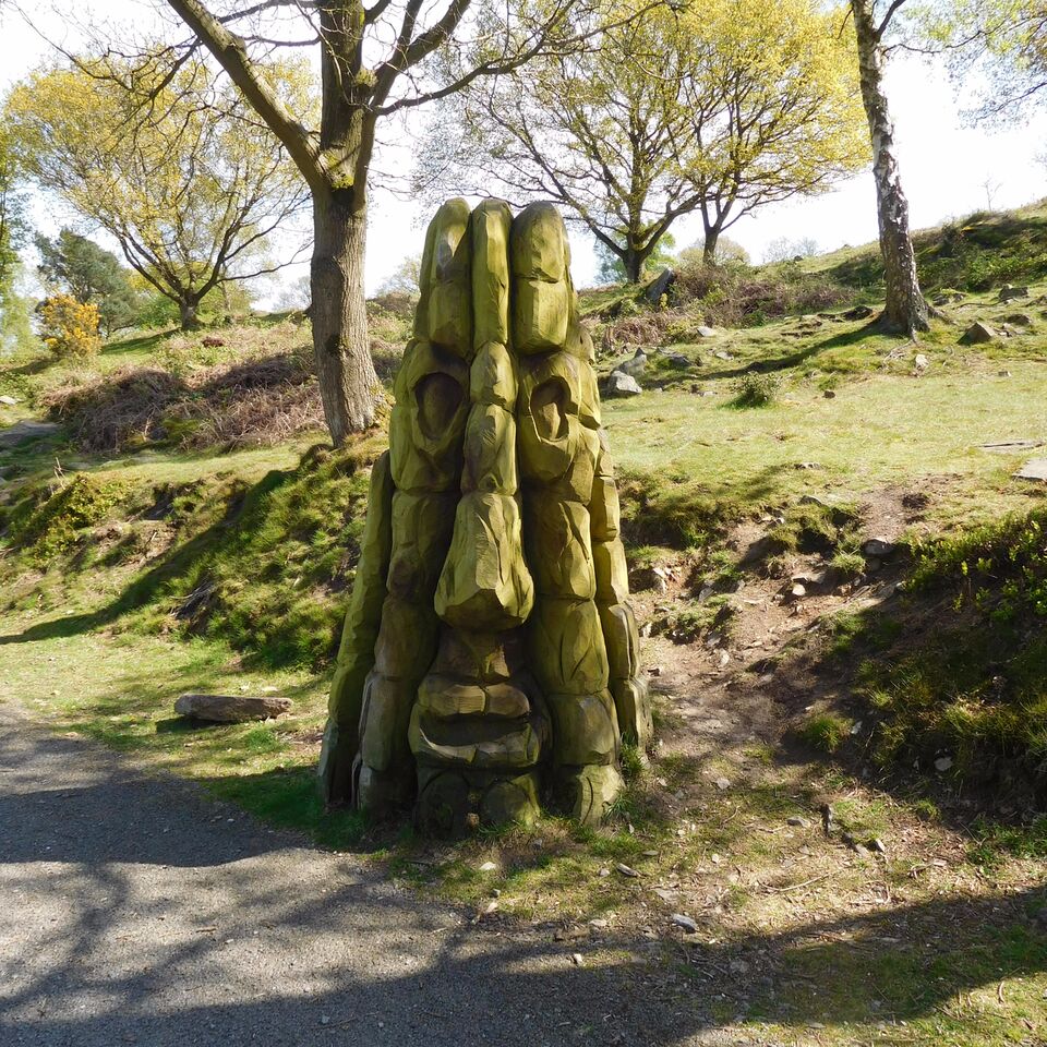 Walk Beacon Hill 3a Liz Roberts