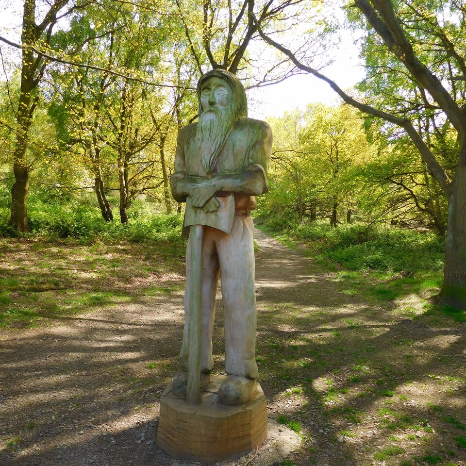 Walk Beacon Hill 4 Liz Roberts