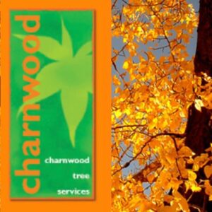 charnwoodtreeservices charnwoodtreeservices
