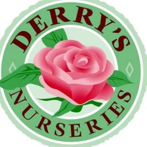 derrys derrys