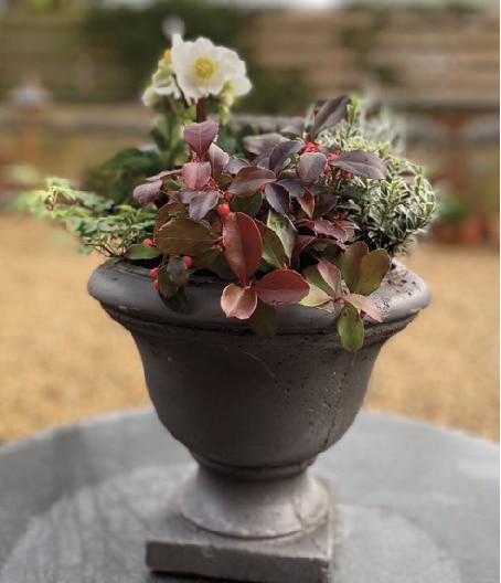 As winter approaches there are still lots of jobs to do in the garden 1 Gardening Image