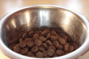 Pricey pet food 1 Dog food in a bowl