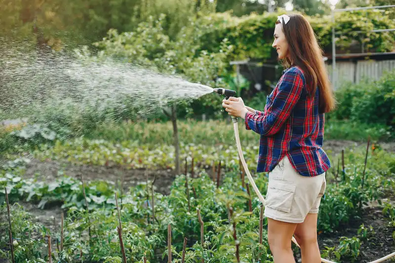 Greenfingers… the Alan Titchmarsh Column 2 A lady water her garden with a hose